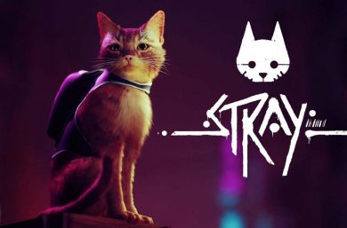 گیفت استیم Stray TR