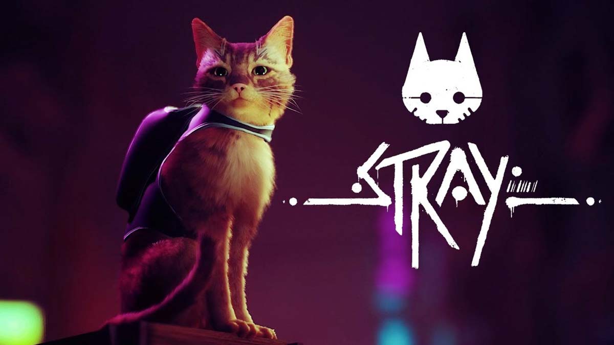 گیفت استیم Stray TR